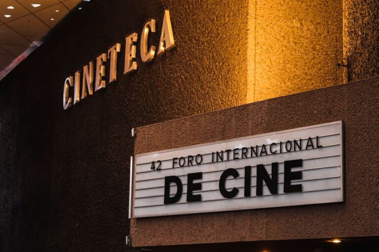 Guia completo para iniciar uma coleção de pôsteres de filmes clássicos: dicas para apaixonados por cinema